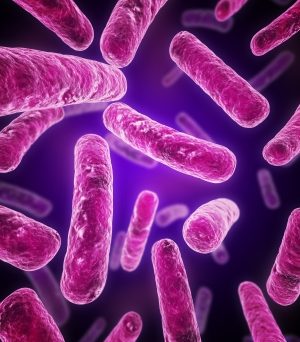 It’s no wonder that many people struggle to know what probiotic to take. Not only is there a wealth of research to understand, but with so many probiotics now available product advertising can also leave consumers more confused than ever.